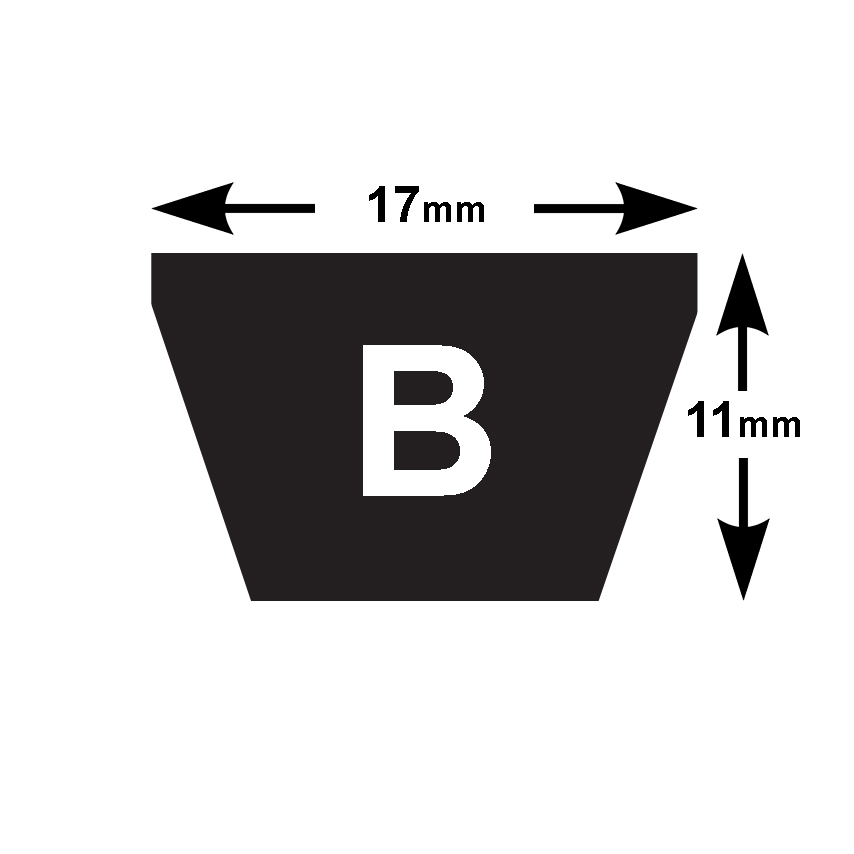 B22 Branded B Section V Belt